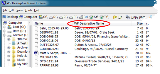 WP Descriptive Name Explorer Screenshot